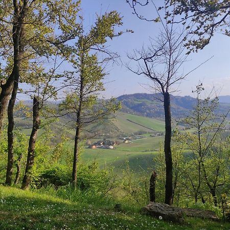 La Pergola Bed & Breakfast Becedasco Екстериор снимка