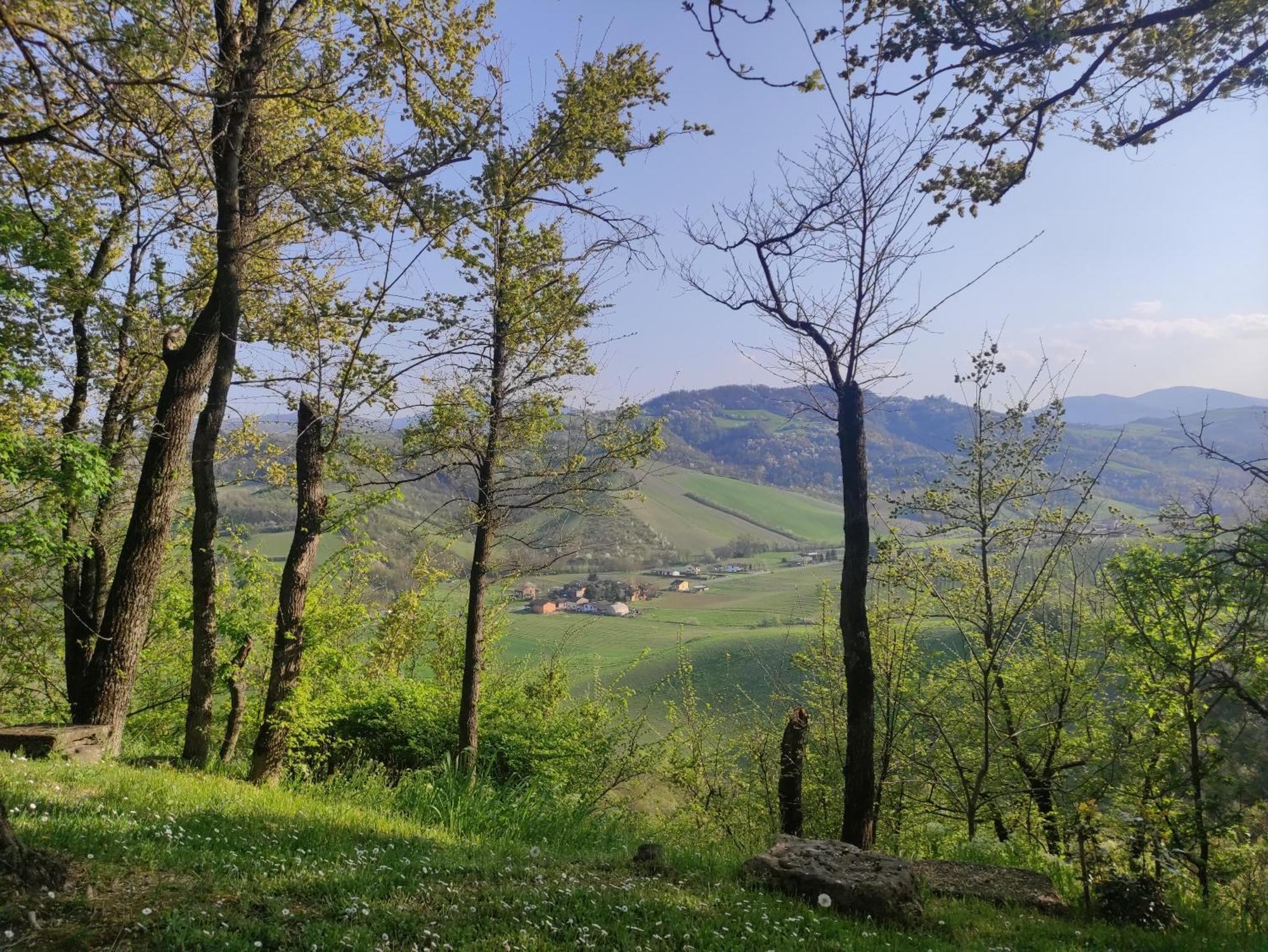 La Pergola Bed & Breakfast Becedasco Екстериор снимка
