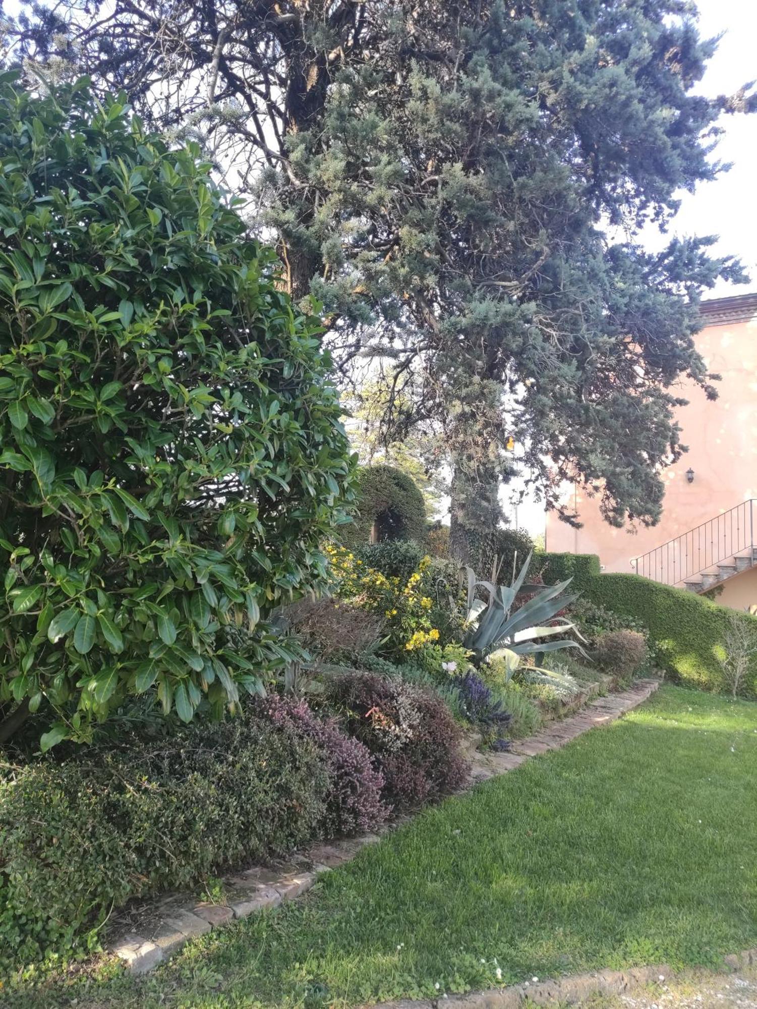 La Pergola Bed & Breakfast Becedasco Екстериор снимка